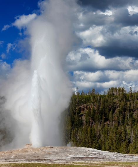 A large geyser erupts, shooting water and steam high into the air against a backdrop of pine trees and a partly cloudy sky.