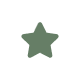 A solid green five-pointed star icon is centered on a white circular background.