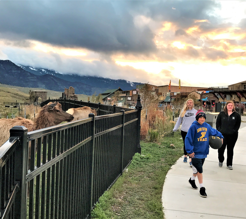 Three people walk on a sidewalk near a black metal fence, behind which two elk are standing. Mountains and buildings are visible in the background under a cloudy sky at sunset.