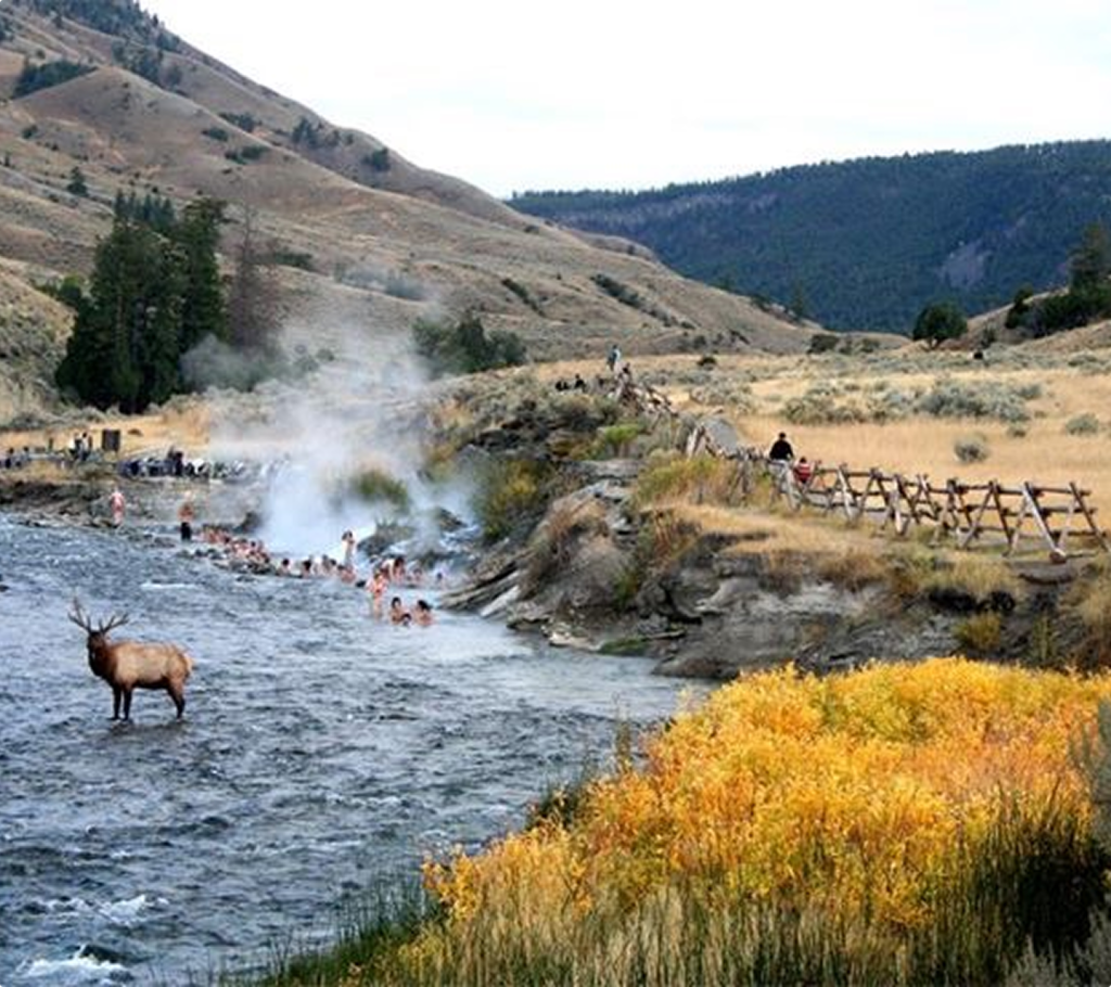 People relax in a steamy natural hot spring beside a river in a valley, with a large elk standing in the water. Hills, grassy fields, and autumn foliage fill the scenic background.