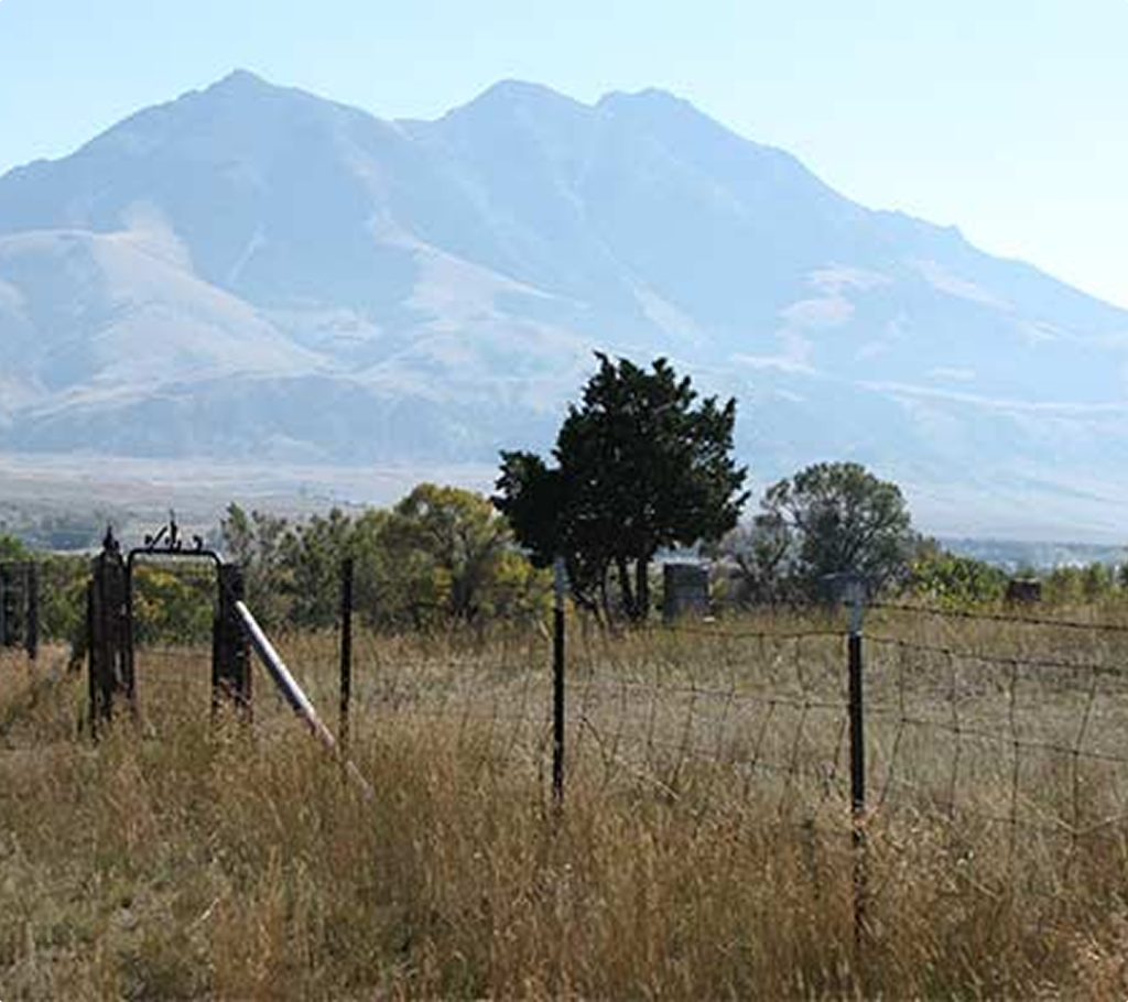 A wire fence runs through a grassy field with a few trees, an open gate, and tall mountains in the background under a clear sky.